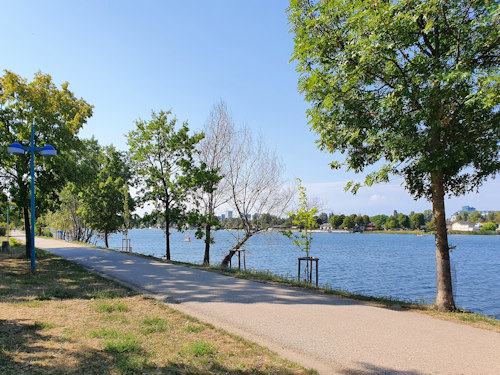 Lakeside walking path