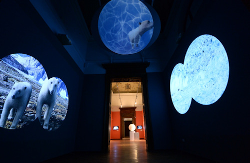 Exhibition video installation