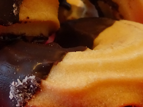 Close up of a chocolate biscuit