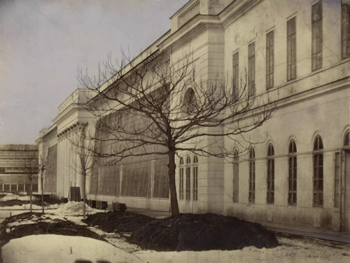 Nineteenth century winter glasshouses