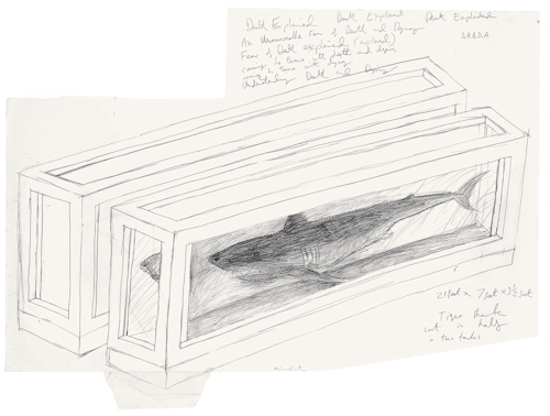 Drawing of a shark in a tank