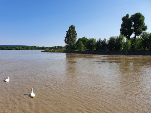 The Danube at Nussdorf