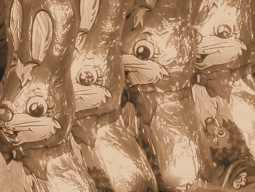 Chocolate rabbits in foil