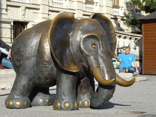 Bronze elephant outside the natural history museum