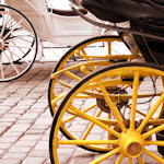 Carriage wheels