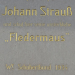 Strauss plaque