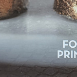 Excerpt from Foodprints poster