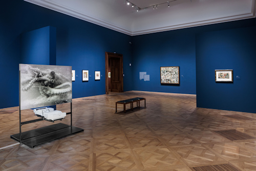 View of an exhibition