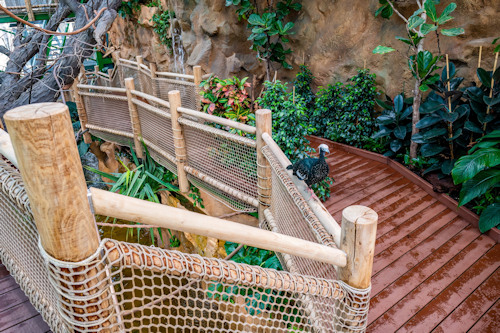 View of the tropical house interior