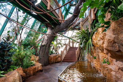 View of the tropical house interior