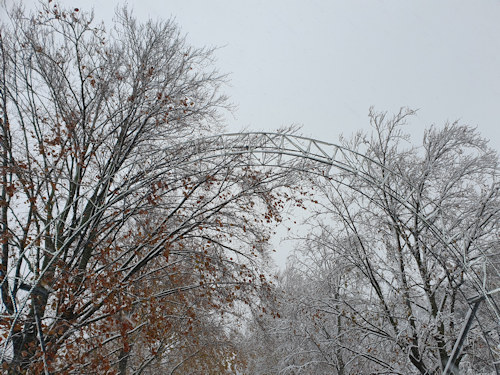 Wintry trees and steel arch