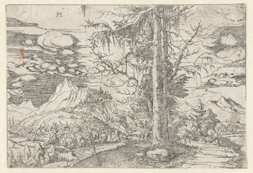 A landscape by Altdorfer