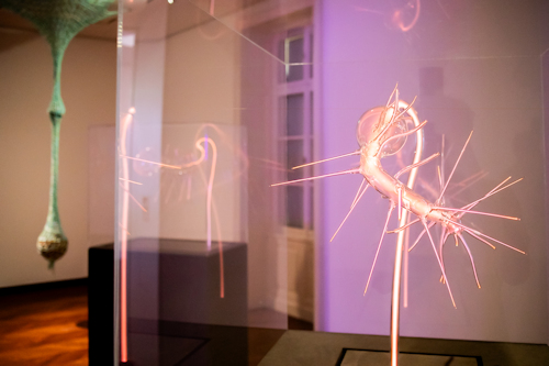 Light installation in a museum