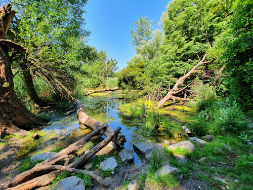 One end of the Lusthauswasser