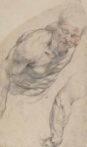 Peter Paul Rubens drawing of a man from the front
