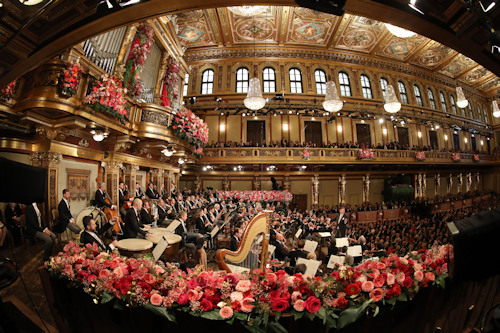The Musikverein on January 1st
