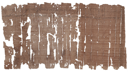 Fragments of papyrus