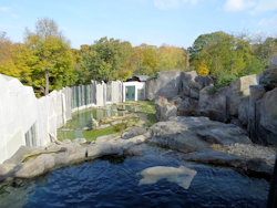 New polar bear enclosure