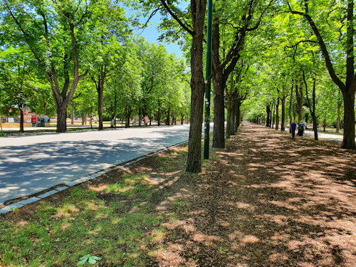 Part of the Prater hauptallee