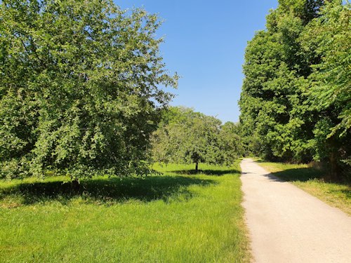 Hiking trail through the Prater