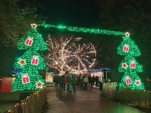 LED Christmas trees leading into a park