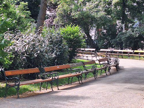 Bench-lined path through a park