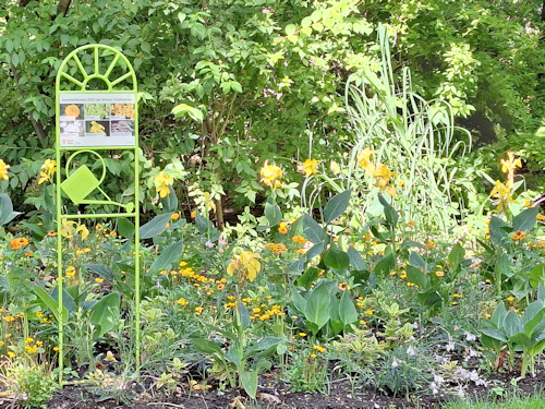 Flower bed in a park