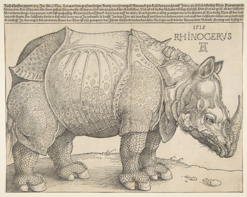 Dürer's Rhinocerous print