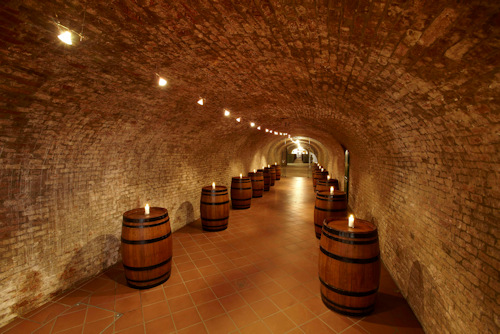 Wine cellar with candlelit barrels