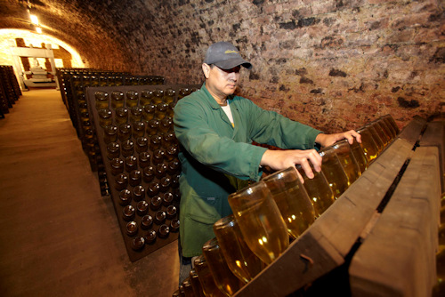 Worker riddling wine bottles