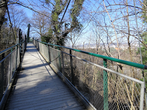 Aerial walkway in a wood