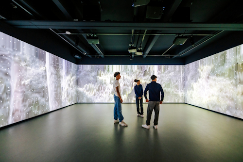 Young adults within a walled simulator