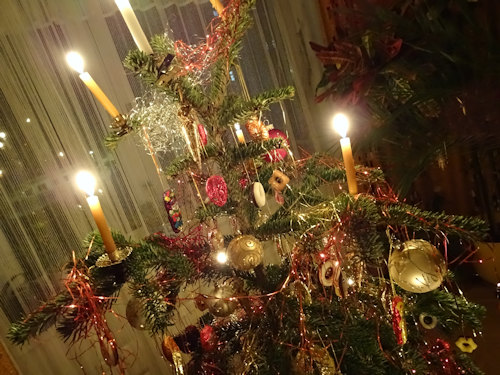 Candles on a tree