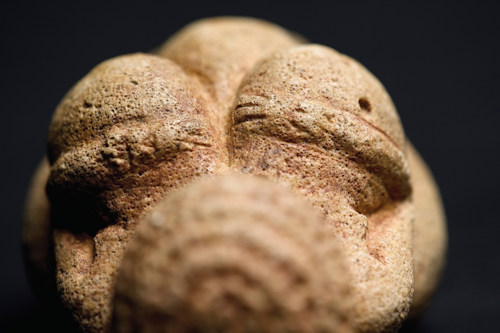 The Venus von Willendorf