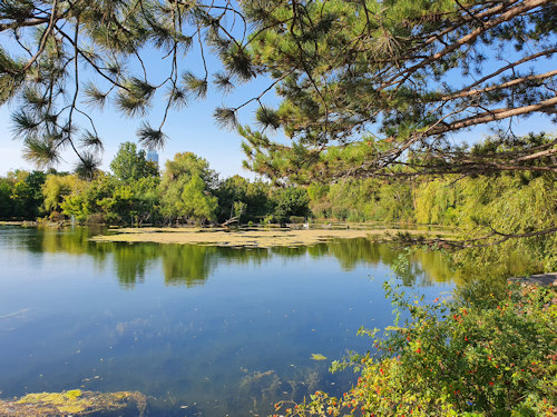 Pond in the Wasserpark