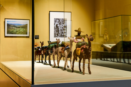 Model camels in a display case