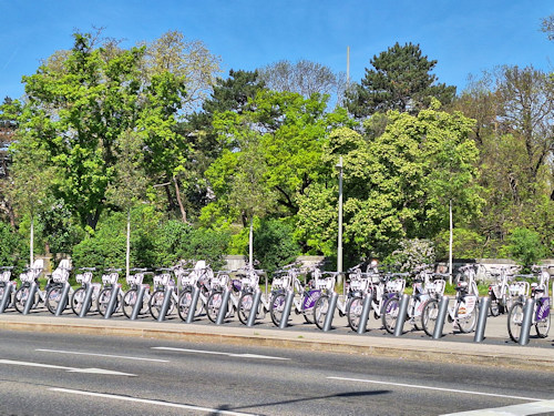 Row of parked bicycles with trees behind