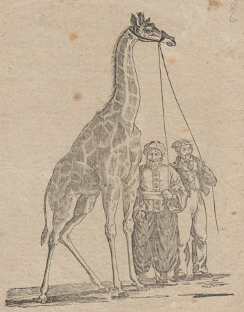 1828 picture of a giraffe